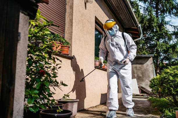 Best Mosquito Control Services  in Inwood, FL