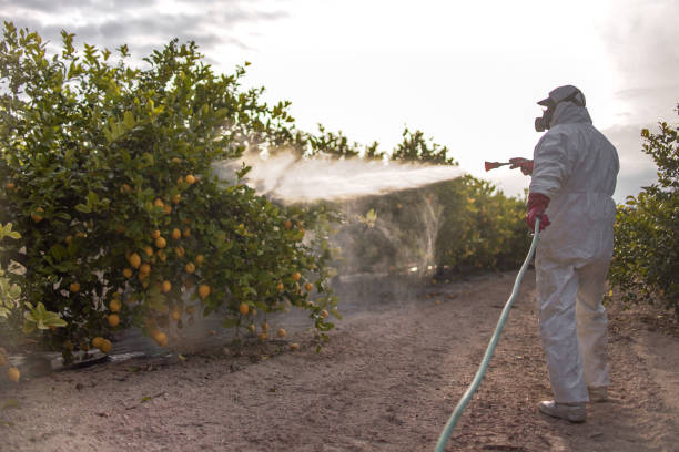 Best Pest Prevention Services  in Inwood, FL