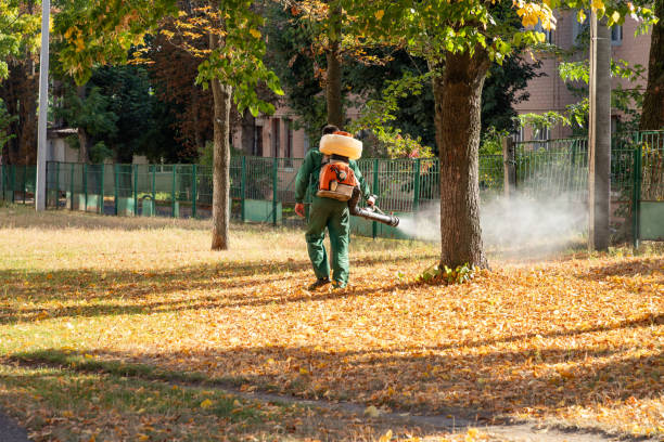 Best Flea Control Services  in Inwood, FL