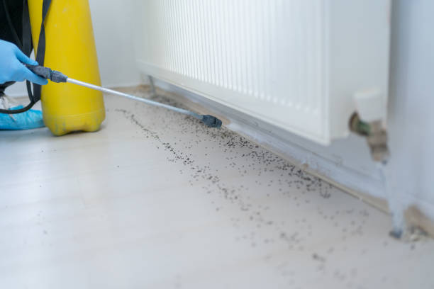 Pest Control Cost in Inwood, FL