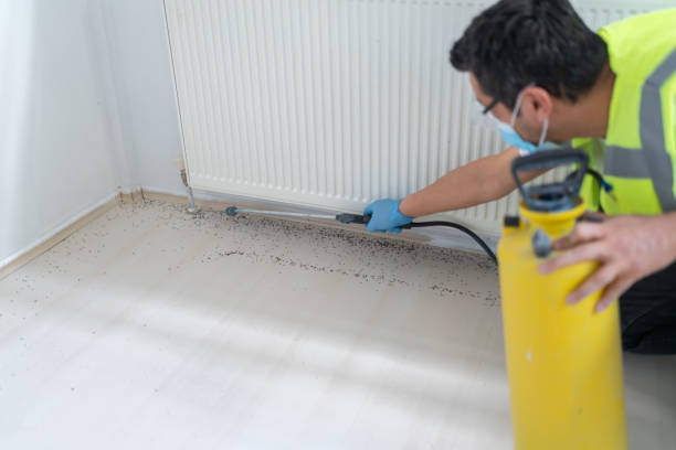 Best Pest Removal Services  in Inwood, FL
