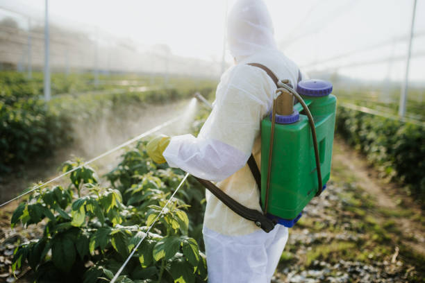 Best Pest Control Near Me  in Inwood, FL